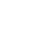 Vice logo